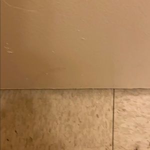 Meet your Posher, Bebawy